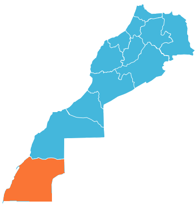 Régions Dakhla Oued Ed-Dahab et Laayoune Sakia El Hamra : Inauguration et état d’avancement de plusieurs projets structurants de développement agricole